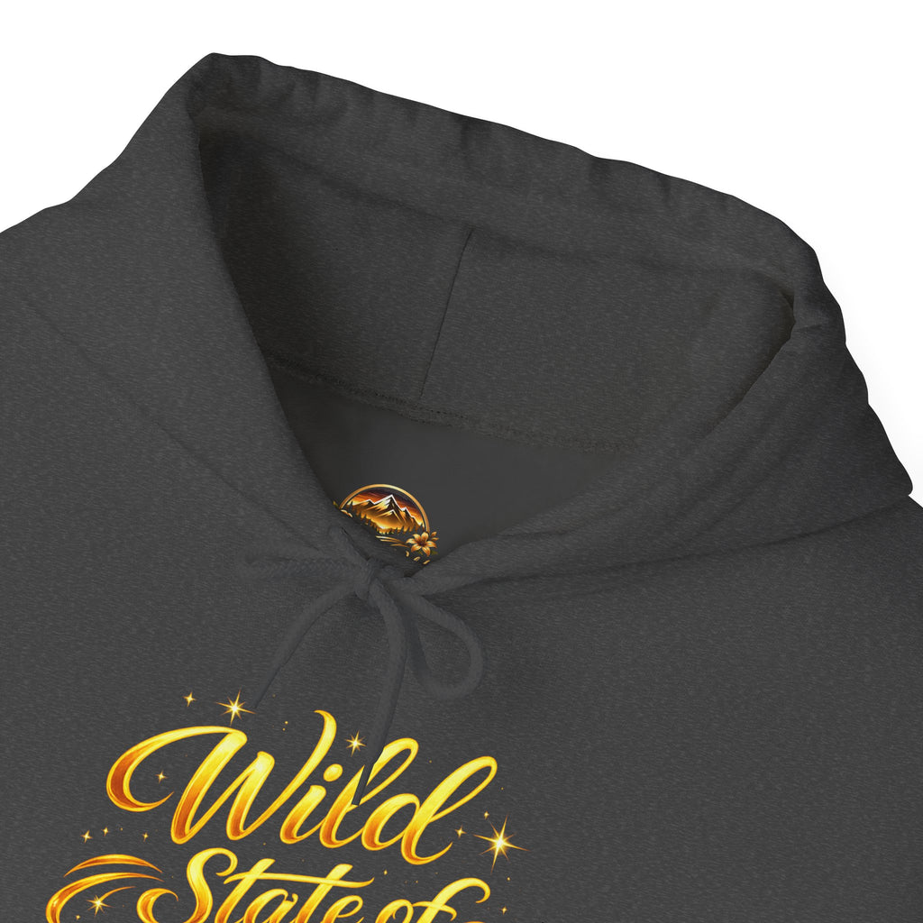 Raised Wild Hoodie — 'Wild State of Mind' Mountain Graphic Hooded Sweatshirt
