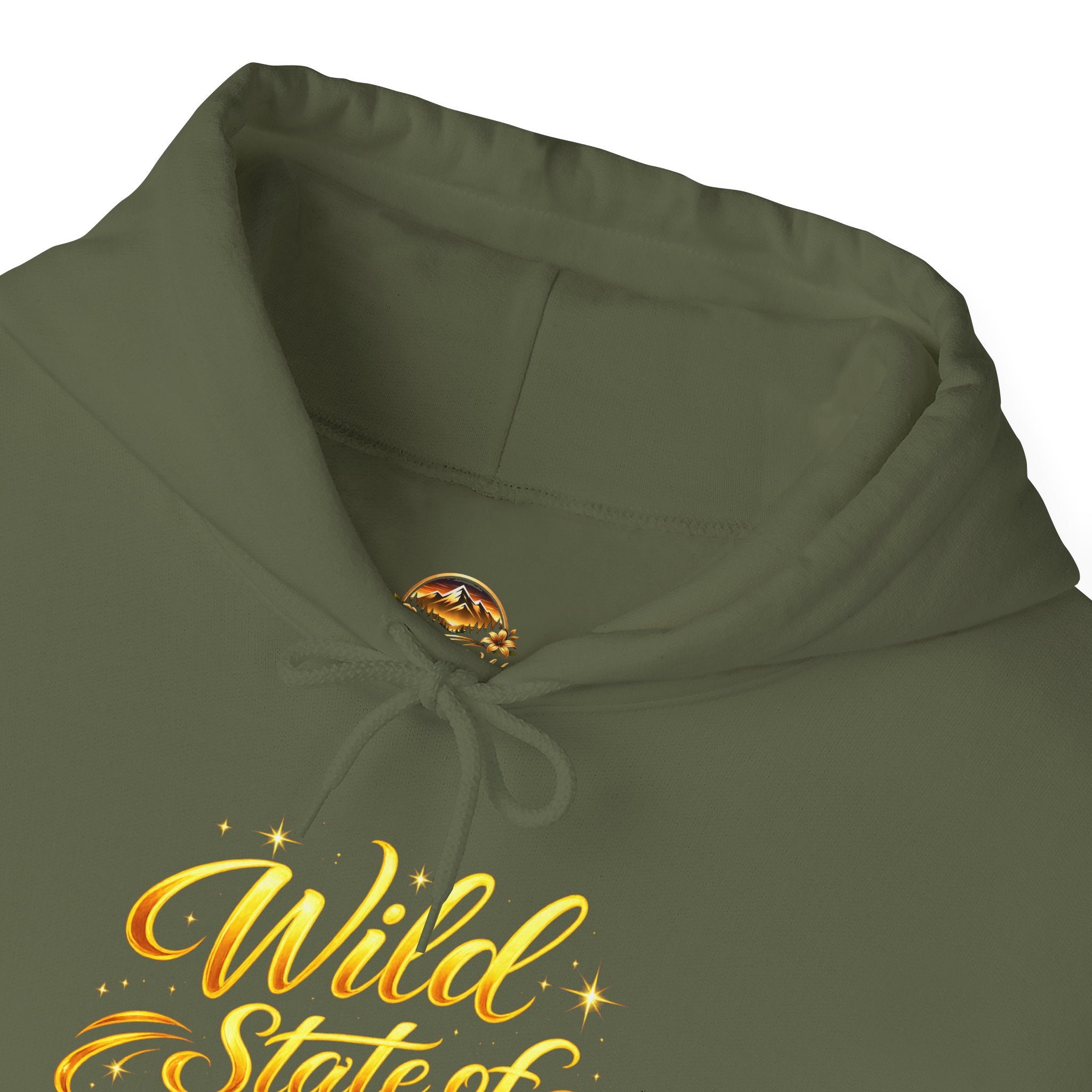 Raised Wild Hoodie — 'Wild State of Mind' Mountain Graphic Hooded Sweatshirt