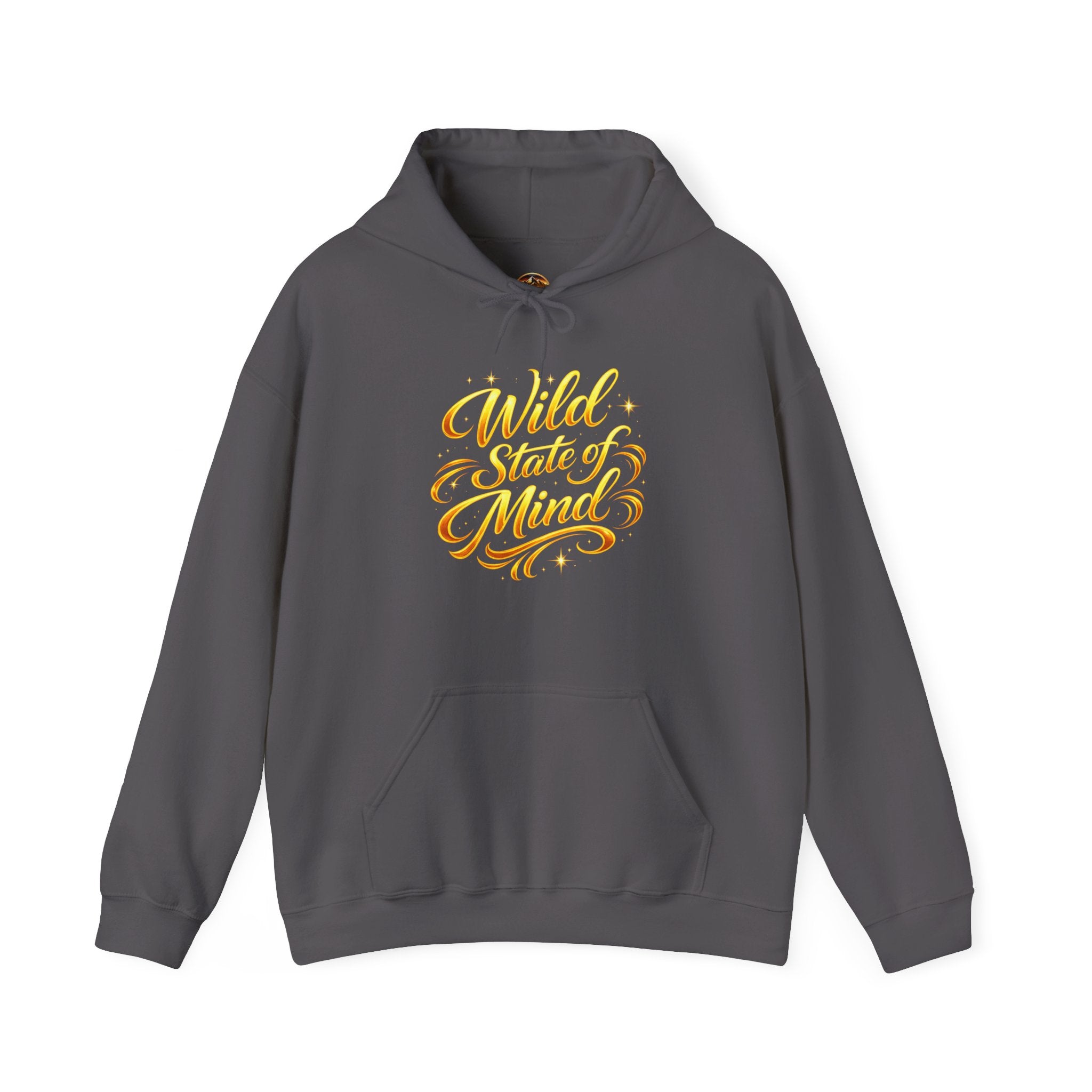 Raised Wild Hoodie — 'Wild State of Mind' Mountain Graphic Hooded Sweatshirt