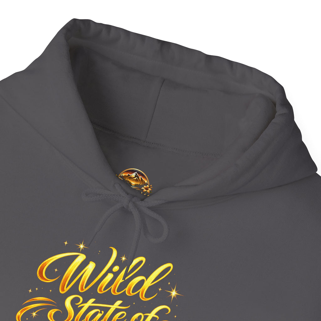 Raised Wild Hoodie — 'Wild State of Mind' Mountain Graphic Hooded Sweatshirt