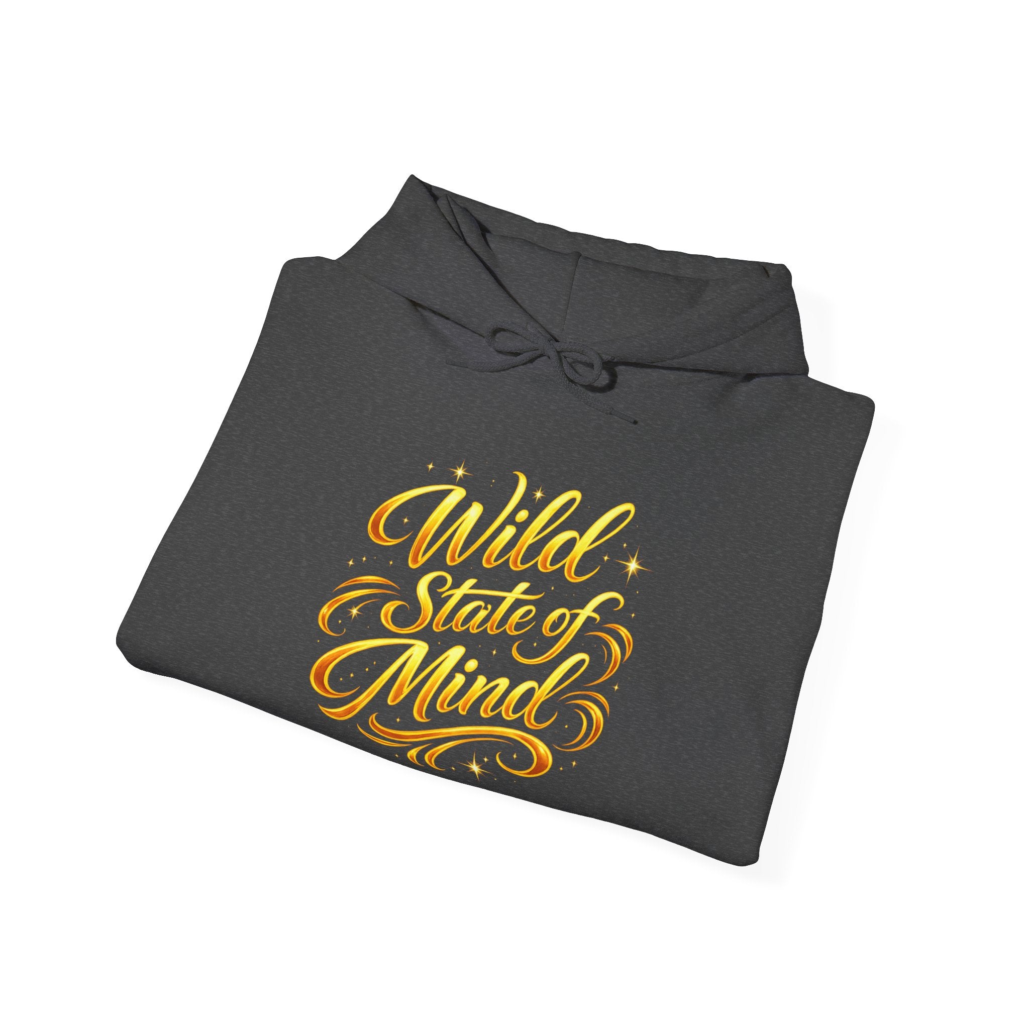 Raised Wild Hoodie — 'Wild State of Mind' Mountain Graphic Hooded Sweatshirt